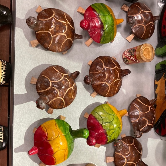 Jamaican Turtles - Picture 1 of 1